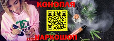 МДПВ Кингисепп