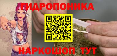 МДПВ Кингисепп