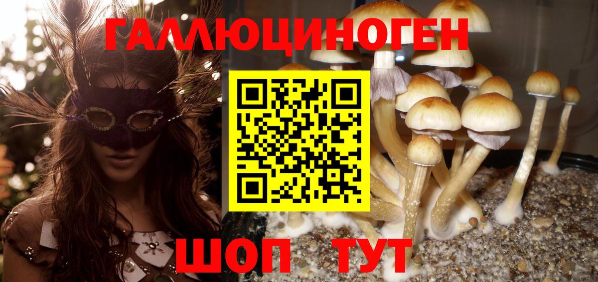 Галлюциногенные грибы GOLDEN TEACHER Корсаков