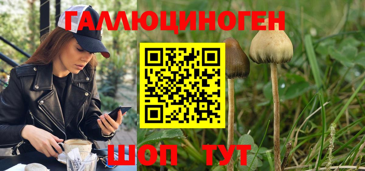 Корсаков  Псилоцибиновые грибы ЛСД  Вход с VPN 